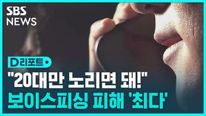 보이스피싱