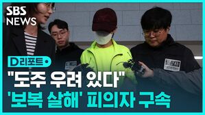 보복살해