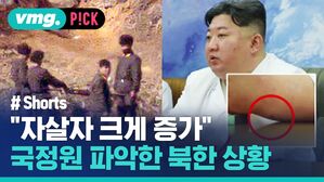 vmg. P!CK # Shorts "자살자 크게 증가" 국정원 파악한 북한 상황