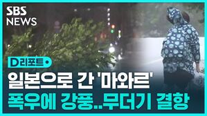[D리포트] 오키나와 무더기 결항&hellip;남서부 중심 호우