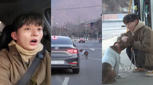 [SBS Star] Yoon Ji Sung Rescues a Lost Dog Dangerously Running About on the Road