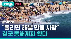 "물리면 26분 만에 사망" 결국 동해까지 왔다