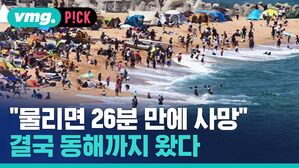 "물리면 26분 만에 사망" 결국 동해까지 왔다