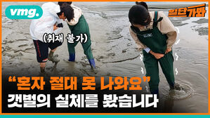 혼자 절대 못 나와요  갯벌의 실체를 봤습니다