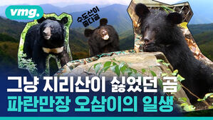 고속버스 치여도 살았는데&hellip; 53번 수컷 반달가슴곰 KM-53의 파란만장한 일생을 돌아봤습니다
