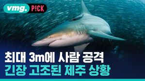 최대 3m에 사람 공격 긴장 고조된 제주 상황