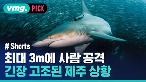 최대 3m에 사람 공격 긴장 고조된 제주 상황