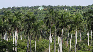 미국 코앞에 중국군 주둔할까…"쿠바와 합동 훈련시설 협의"