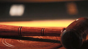 "AI 트레이딩으로 400% 수익" 투자사기 조직원 징역형