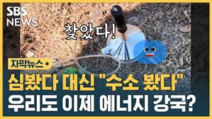 [자막뉴스] 심봤다 대신 "수소 봤다!"&hellip;우리도 이제 에너지 강국?