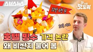 스브스뉴스 갓 나온 맛도리 호텔 빙수 가격 논란 왜 비싼지 물어 봄