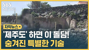 [자막뉴스] "270명만 할 수 있다"&hellip;볼수록 매력적인 이 돌담