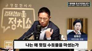 0703 정치쇼 김영선