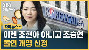 [자막뉴스] 조현아 전 대한항공 부사장 '조승연'으로 개명