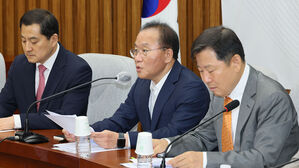 윤재옥 "김 여사에 악의적 선동…정치가 해선 안될 일"