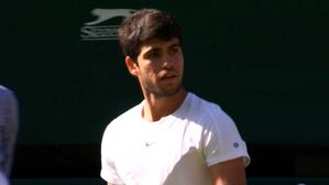 알카라스, 생애 첫 윔블던 4강 진출&hellip;메드베데프와 격돌