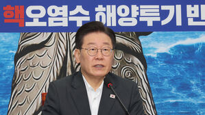 발언하는 이재명 대표