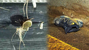 [영상] 천장에 거꾸로 매달린 신발 한 짝&hellip;물 빠진 지하차도에 남겨진 처참한 흔적들