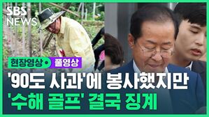 [풀영상] 홍준표, '90도 사과'에 봉사도 했지만..'수해 골프' 결국 징계