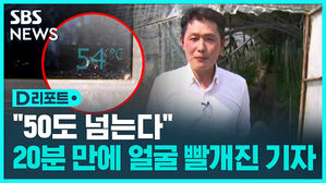비닐하우스