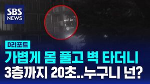 D리 벽타는 도둑