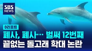 씨월드 D리포트 썸네일