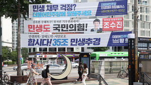 새변, 정당 현수막 헌법소원 청구 "평등권 &middot; 환경권 침해"