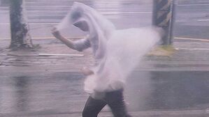 "태풍 접근 실감"&hellip;강한 바람 불어닥치는 포항 거리 모습