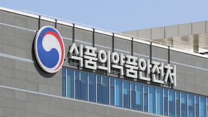 식약처 "민원 창구 정상 운영"&hellip;국정자원 화재에도 차질 없어