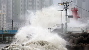[태풍 '카눈'] 12개 시도 1만여 명 대피&hellip;항공기&middot;여객선 무더기 결항