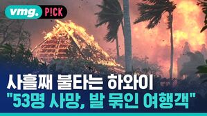 [비머pick] 잿더미 된 하와이 "53명 사망&hellip;통신, 전기 끊겨"
