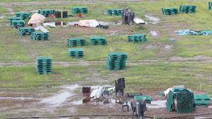 국민의힘 "'뻘밭 대참사' 원인은 문 정부&hellip;국제 망신 책임 물어야"