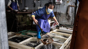 중국 경제 진짜 '시한폭탄' 될라…"성장엔진 이상에 전세계 긴장"