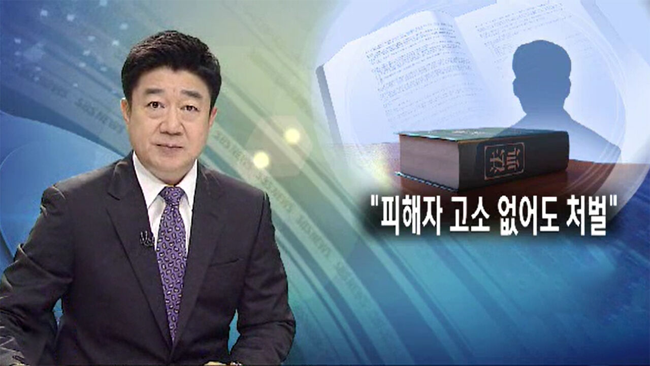 2013년 6월 '60년 만의 성폭력 친고죄 폐지' 뉴스 / 출처 : SBS뉴스