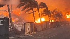 [스페셜리스트] '비정상'이 확산된다…하와이 산불이 급격히 번진 이유