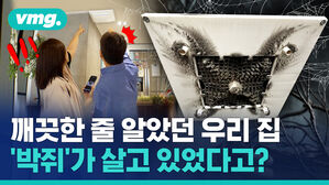 vmg 깨끗한 줄 알았떤 우리 집 '박쥐'가 살고 있었다고?