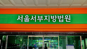 발기부전 치료제 등 가짜약 판매하려다&hellip;80대 남녀 실형