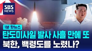 [1분핫뉴스] 새벽에 쏜 순항미사일, 백령도 노렸나
