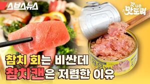 스브스뉴스 갓 나온 맛도리 참치 회는 비싼데 참치캔은 저렴한 이유