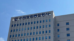 이태원 추모집회 참석한 20대 '각시탈' 지목한 유튜버 벌금형