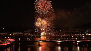 세계불꽃축제 개최에 여의도 일대서 배달앱 서비스 제한