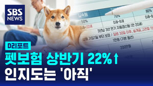 [D리포트] 반려동물 펫보험, 상반기 22%↑…가입률 1% 넘어
