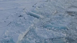 줄줄 녹는 남극 해빙&hellip;올겨울 면적 역대 최소치