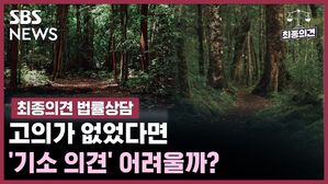 SBS NEWS 최종의견 법률상담 고의가 없었다면 '기소 의견' 어려울까?