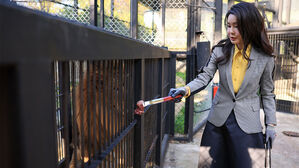 김 여사, '갈비사자' 구한 청주동물원 찾아 "동물 존중 인식 중요"