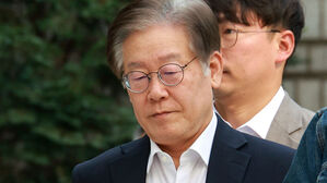 권익위, '이재명 법인카드 유용 의혹' 대검에 이첩