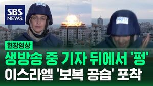 [영상] 생방송 중 기자 뒤에서 '펑'…이스라엘, 가자 지구에 '보복 공습' 포착
