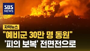 [자막뉴스] 지상군 투입 임박…'피의 보복' 전면전 치달았다