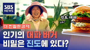 [더친절한경제] 작지만 강하다 진도 대파 대세인 이유