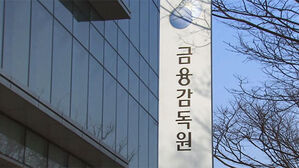 금감원, 브로커 &middot; 병원 연계된 조직형 보험사기 조사 강화